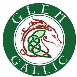 Glen Gallic Stud