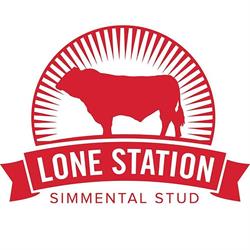 Lone Station Simmentals