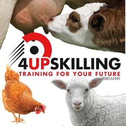 4 Up Skilling Pty Ltd