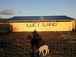 Lucy Land