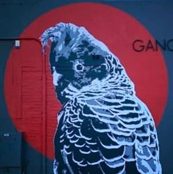 Gang Gang Gallery