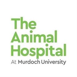 Animal Dermatology Clinic - Perth (Murdoch)