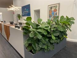 Mitcham General Practice