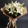 Adelaide_Oriental_Lily_Elegance