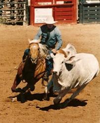 Ian Francis Horsemanship