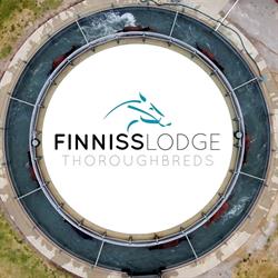 Finniss Lodge Thoroughbreds