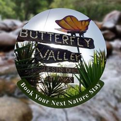 Butterfly Valley