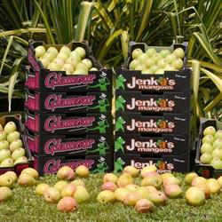 Jenko's Mangoes Packhouse