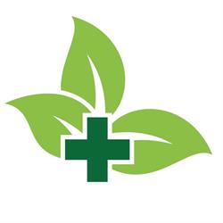 The Healing Ayurveda