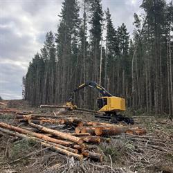 Mangan Logging