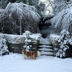 Gairloch Gardens