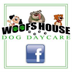 Woofs House Dog Daycare