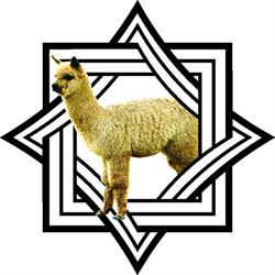 Mandala Alpacas