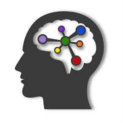 Horizon Kinesiology