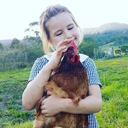 Kangaroo Valley Pastured Eggs