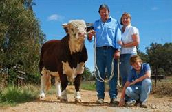 Kirraweena Glenholme Hereford Stud