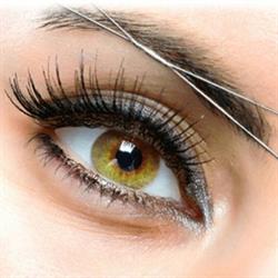 Beauty and Brow Aesthetics