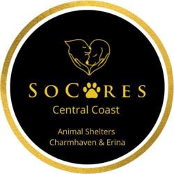 Socares Central Coast Animal Shelters - Charmhaven