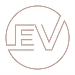 EV Financial
