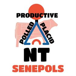 Namoona Trig Senepol Stud
