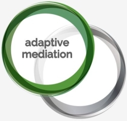 Adaptive Mediation