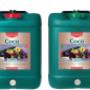 Canna Coco