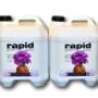 Rapid Advanced Coco