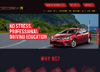 David VIP Driving School