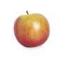 fruit and veg online