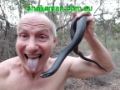 Black snake