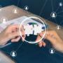 Business IT Solutions