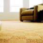 carpet cleaning