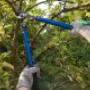 Tree service
