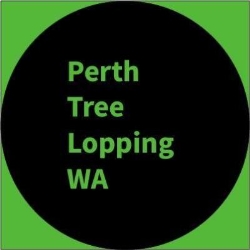 Perth Tree Lopping WA