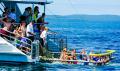 SUMMER BOOM NETTING