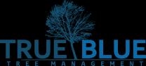 True Blue Trees