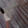 Brushworks Painting & Maintenance P/L