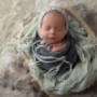 Blue mountains newborn photographer