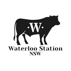 Waterloo Station NSW