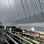 LEAFSCREENER Sydney Gutter Guards from scaffolding