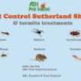 Pest Control Sutherland Shire