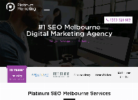 Platinum SEO Services's website
