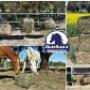 GutzBusta Hay Nets Sizes Large Medium and Small