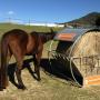 GutzBusta Round Bale Hay Net with Advantage Feeder