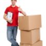 removal service
