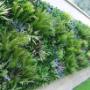 Vertical Gardening