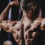 The Body Therapist