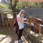 Feeding animals as part of our Perth wildlife tour