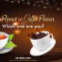 Are you a Tea person or a Coffee person?