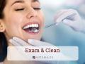 Exam & Clean